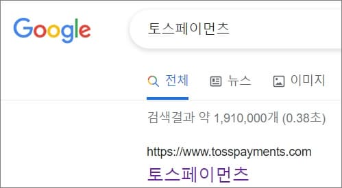 토스페이먼츠 홈페이지 검색 후 접속하기