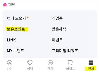 전체 메뉴에서 보유 포인트 터치