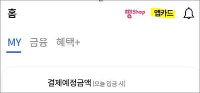 앱화면 상단에 앱카드 글자 선택