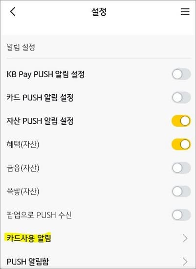 알림 설정 항목에서 카드 사용 알림 선택