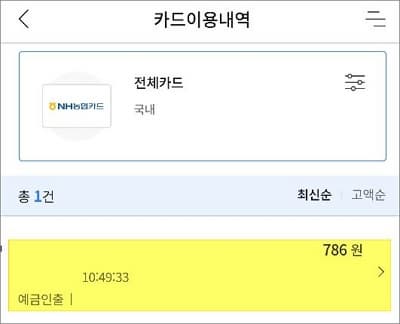 카드 이용내역