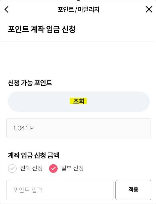 입금할 포인트 조회하기