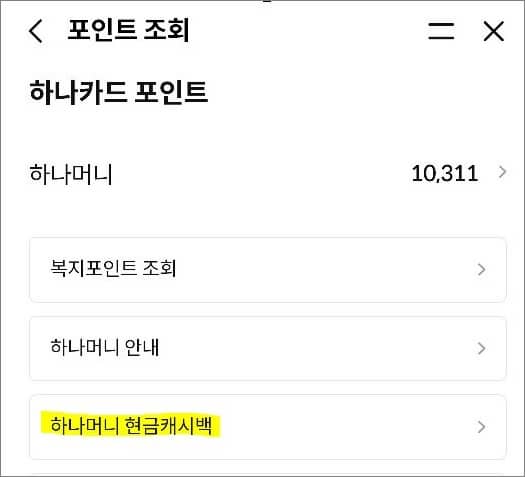 하나머니 포인트 조회하기