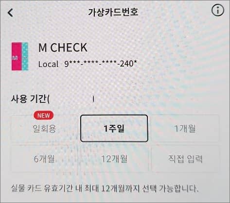 사용 기간 선택